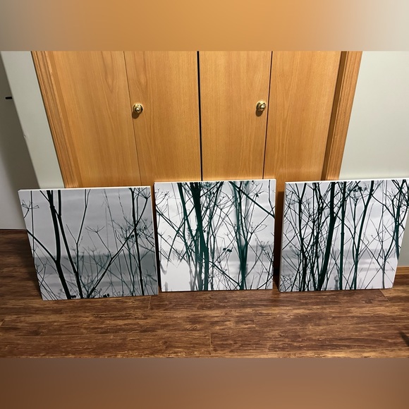 3 Canvas Wall Art - Picture 1 of 7